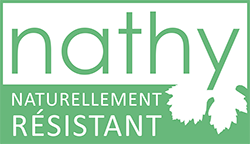 Novatech - Projet Nathy : Nathy - Vari&eacute;t&eacute;s de raisin naturellement durable (Accueil)